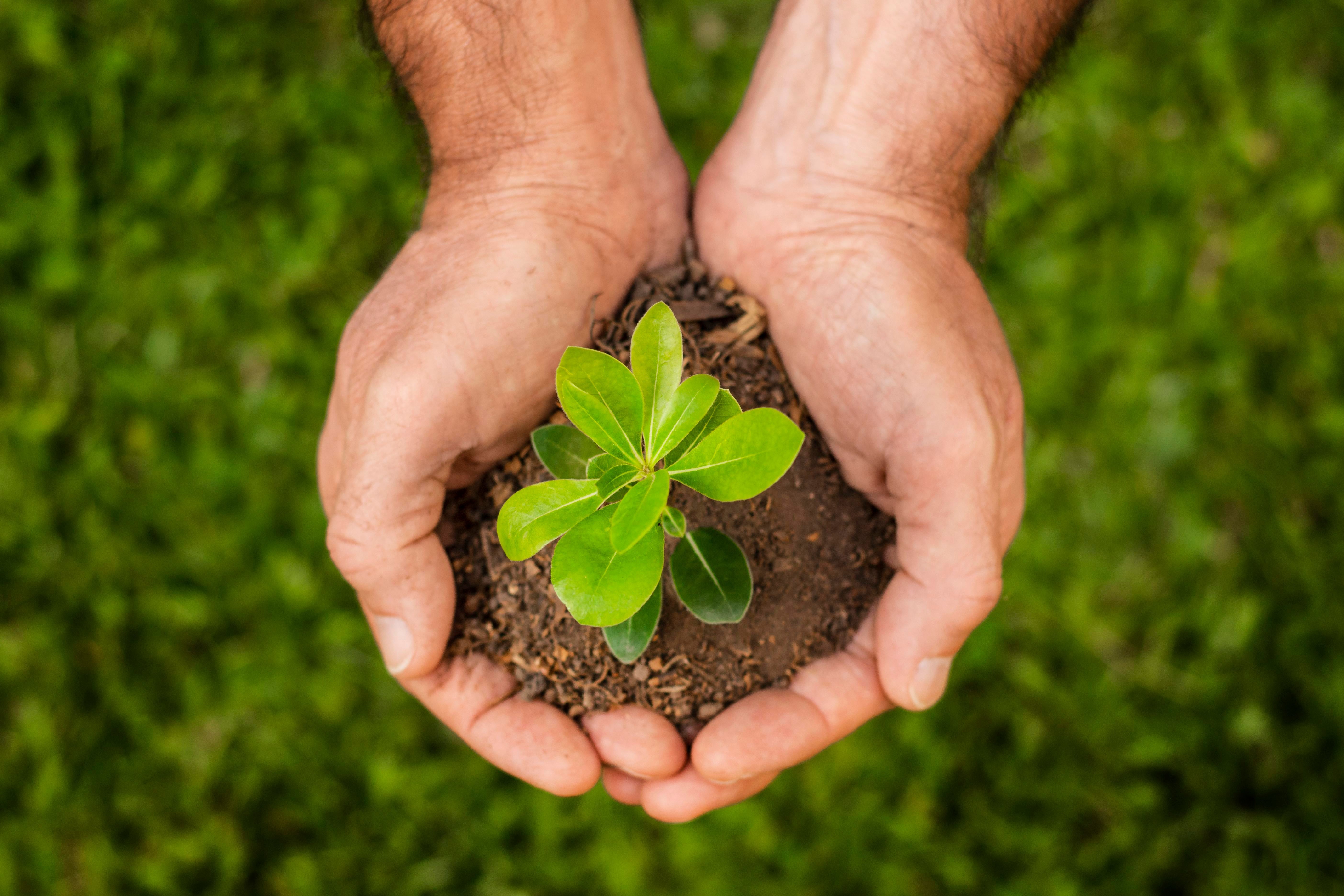 Notre impact positif : Une mission en pleine croissance